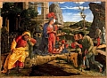 Andrea Mantegna 1433.jpg